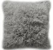 开云体育官网-罗马塔利亚僵持不下，平局分将来归