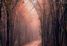 开云体育入口-葡萄牙队员继续高歌猛进，敢打敢拼实现自我