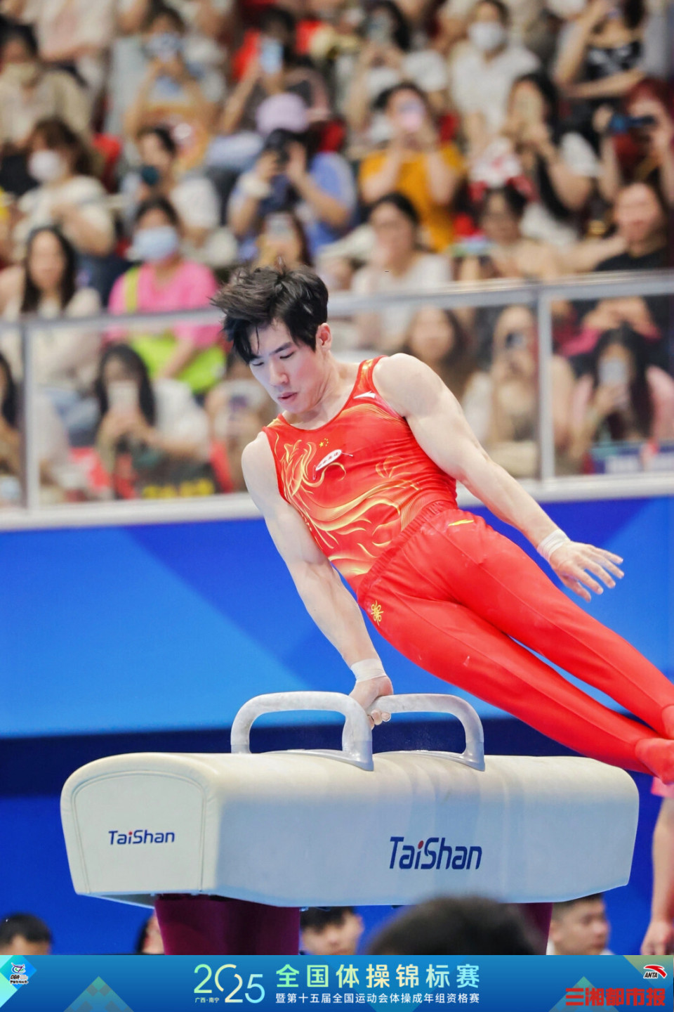 包含高强度备战国内赛事，球员积极备战冲刺的词条